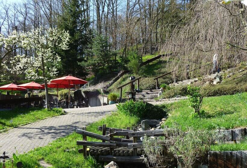 Bed and Breakfast Pension Haus Diefenbach