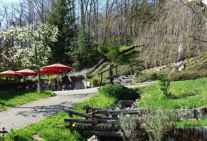 Bed and Breakfast Pension Haus Diefenbach