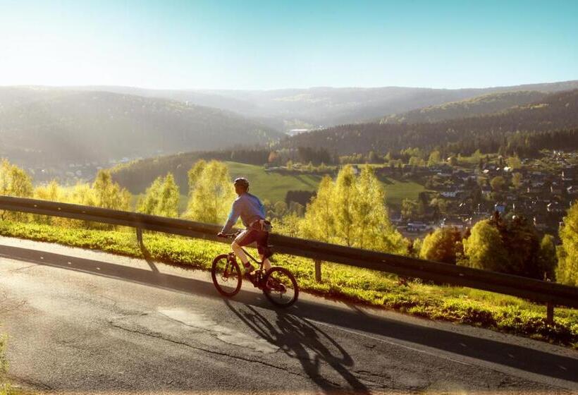 Ferienhotel Mühlleithen