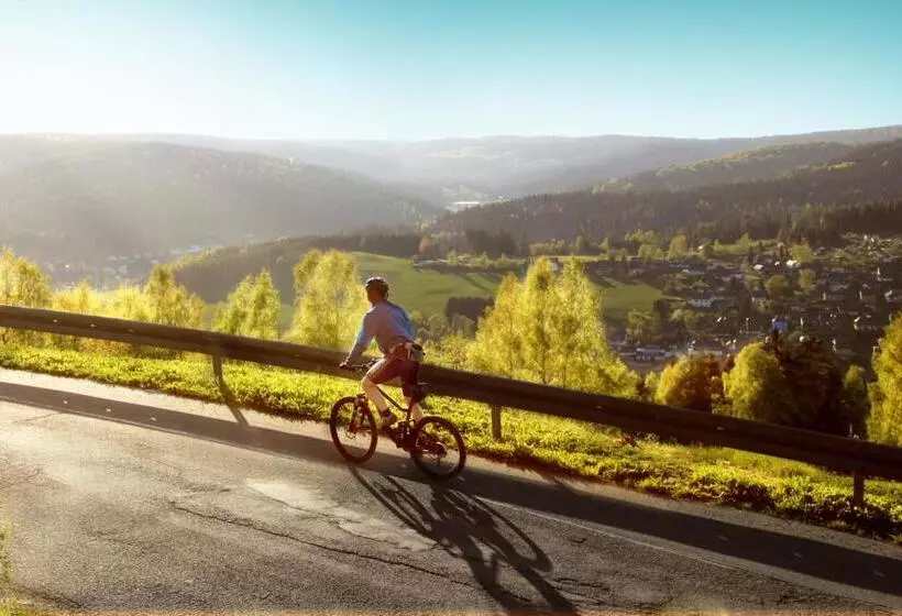 Ferienhotel Mühlleithen