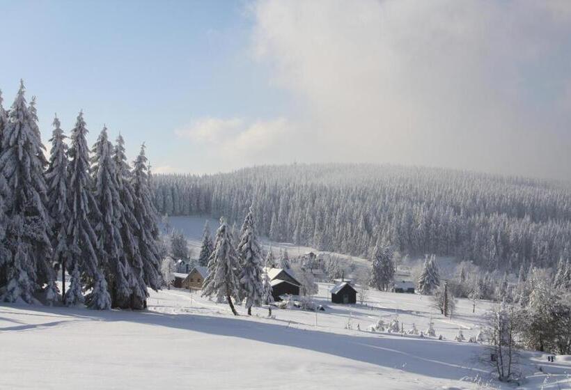 Ferienhotel Mühlleithen