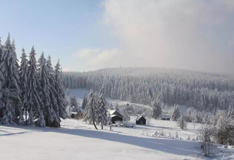 Ferienhotel Mühlleithen