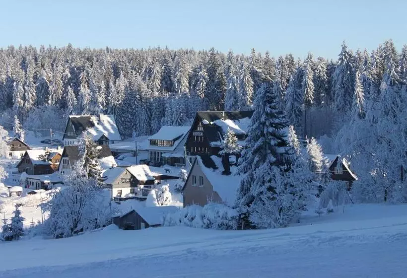 Ferienhotel Mühlleithen