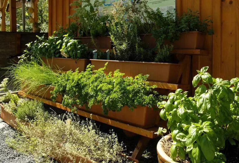 בית מלון כפרי Zur Fernmühle