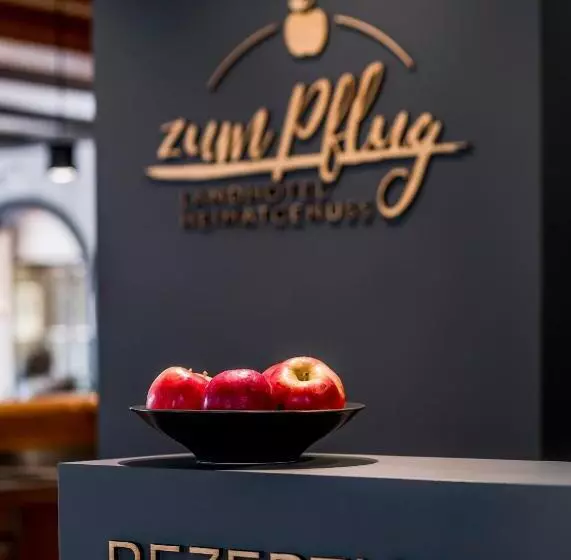 펜션 Landhotel Gasthaus Zum Pflug