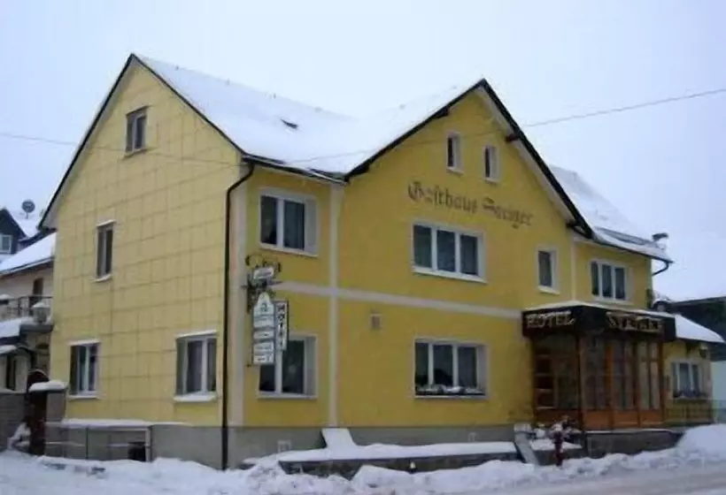 Отель Gasthaus Steiger
