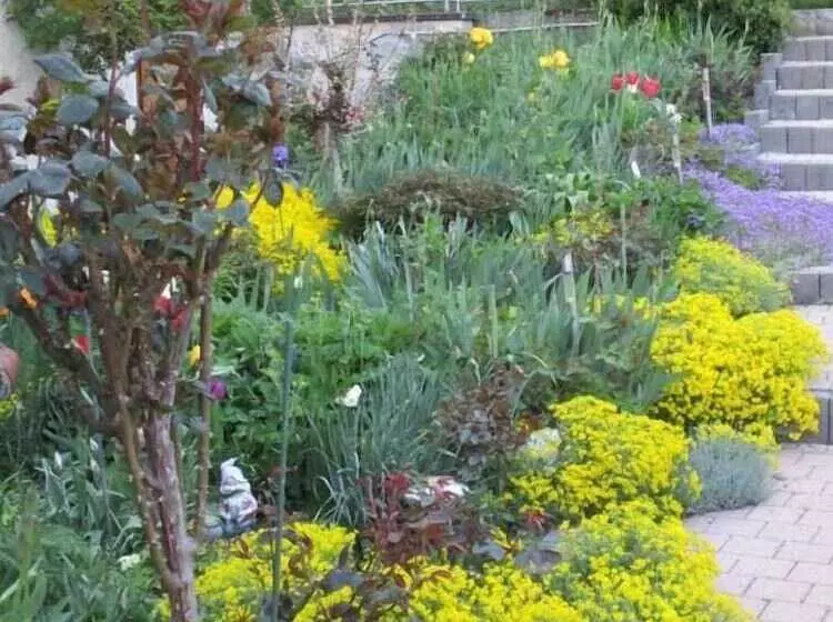 Bed and Breakfast Kühns Mühle