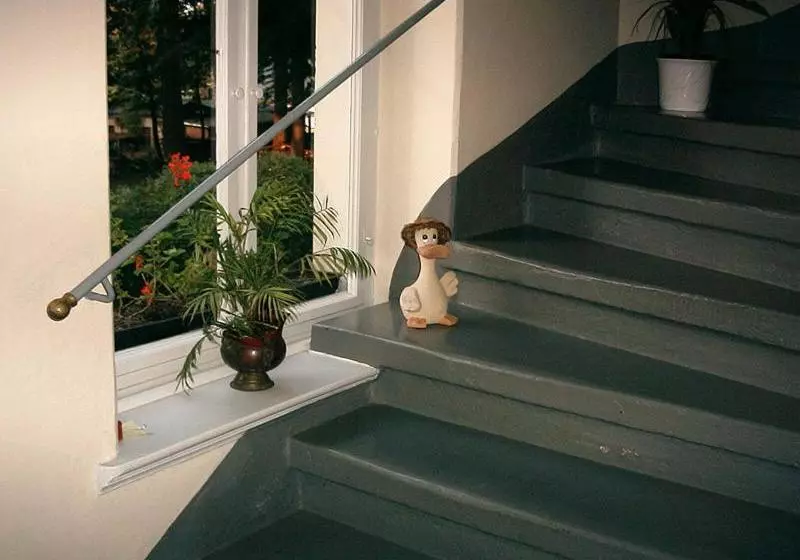 Bed and Breakfast Pension Königswald