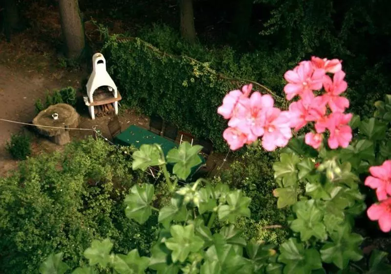 Bed and Breakfast Pension Königswald