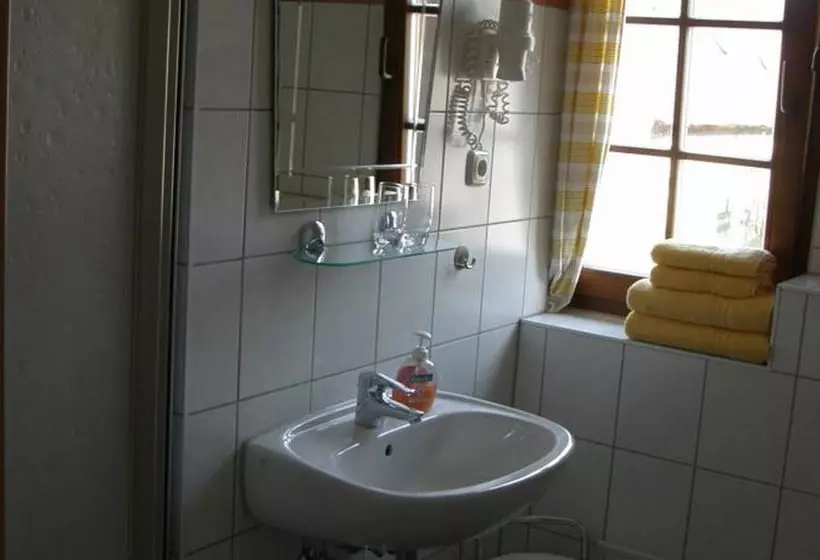 צימר Pension Zu Dresden Altpieschen