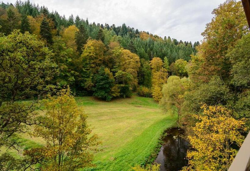 Business Class Hotel Häckermühle