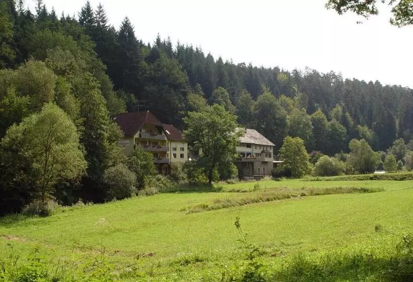 Business Class Hotel Häckermühle