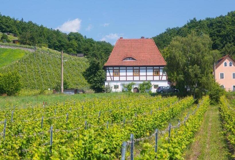 Otel Alt Coswigerhof