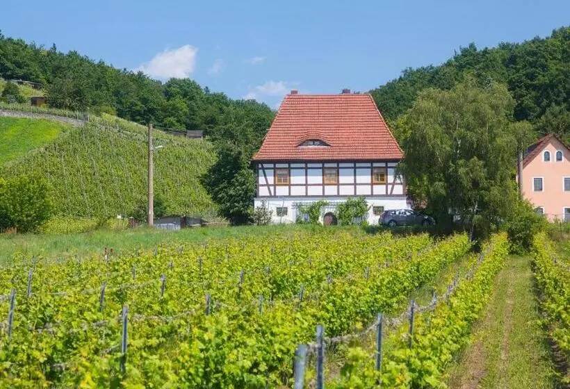 Hotel Alt Coswigerhof