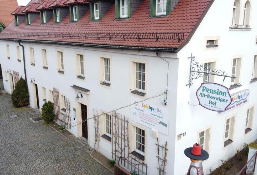 Otel Alt Coswigerhof