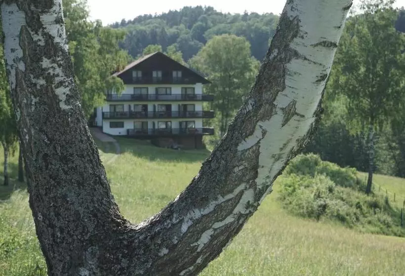 Отель Birkenhof