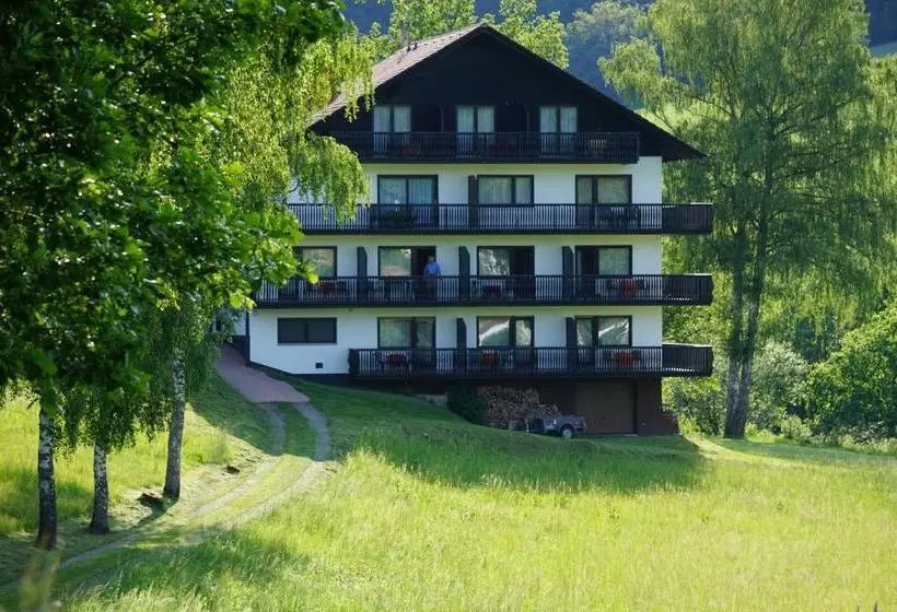 Отель Birkenhof