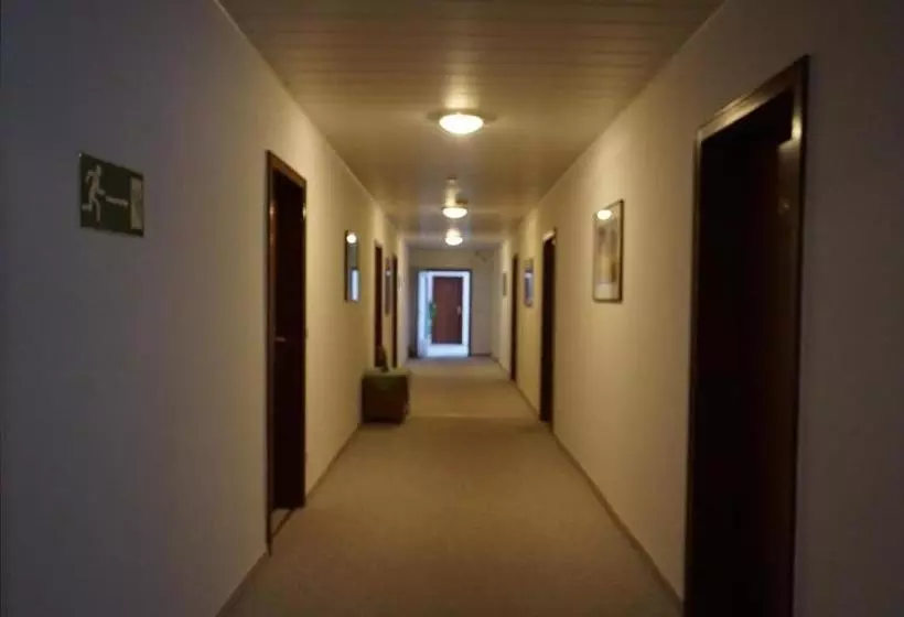 Отель Birkenhof