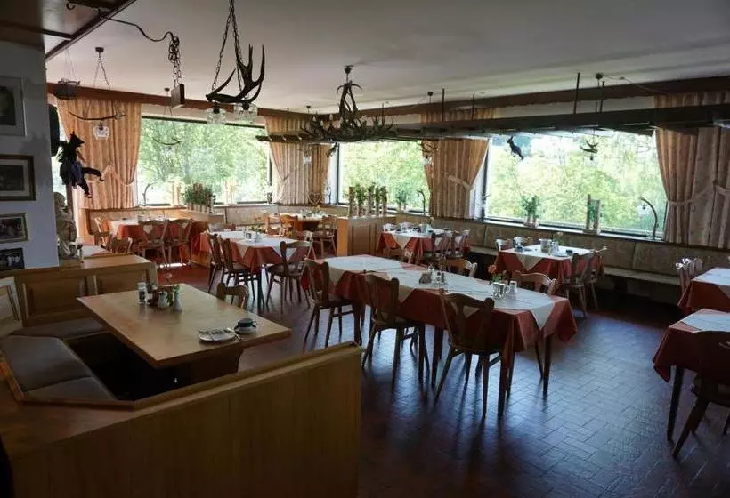 Отель Birkenhof