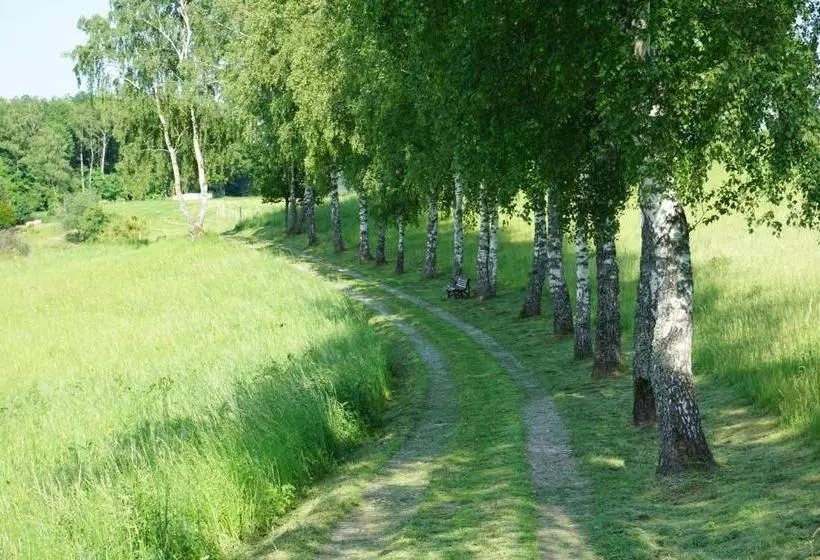 Отель Birkenhof