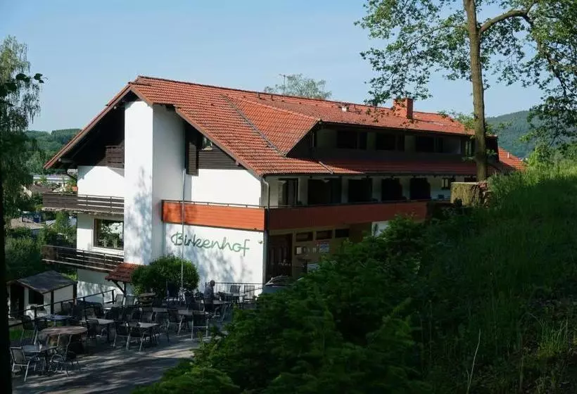 Отель Birkenhof