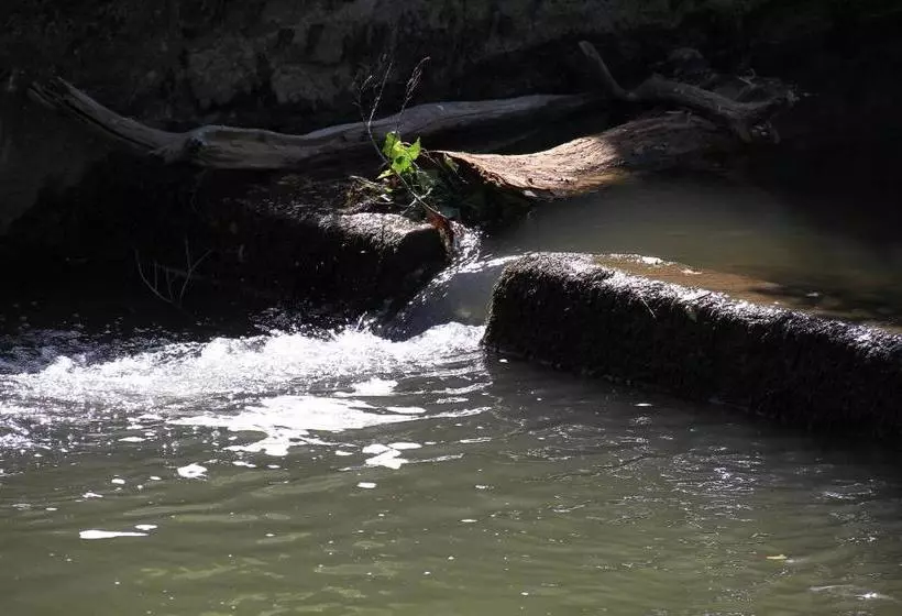 Business Class Hotel Häckermühle