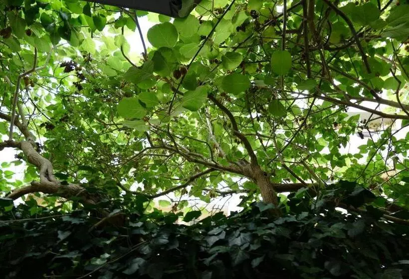 ホテル La Principessa