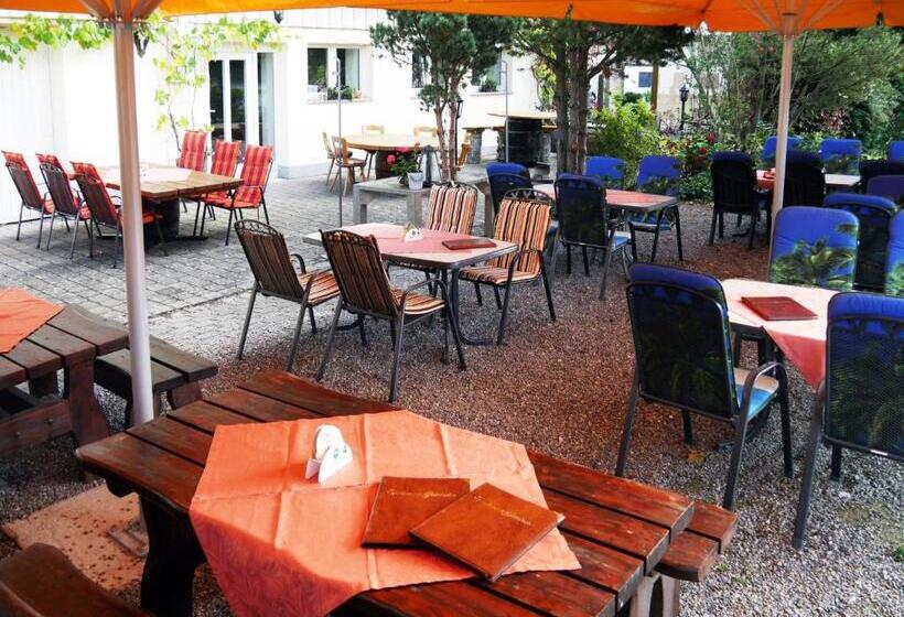 호텔 Landgasthof Schwanen