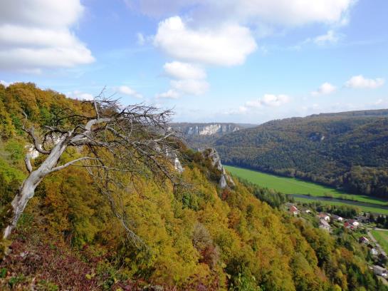 Pensão Landgasthof Unger