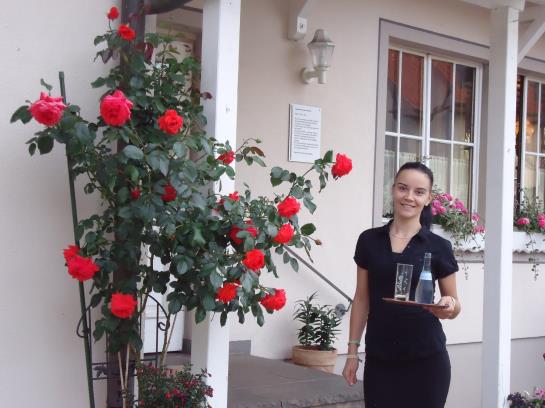 Pensão Landgasthof Unger