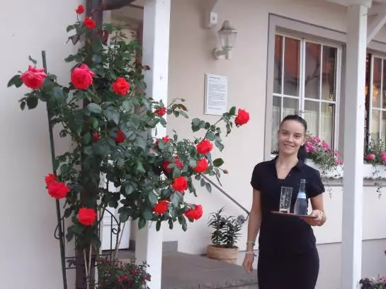 Пансион Landgasthof Unger