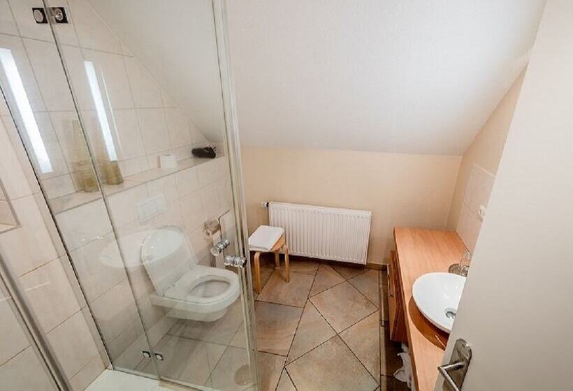 בית מלון כפרי Meyer