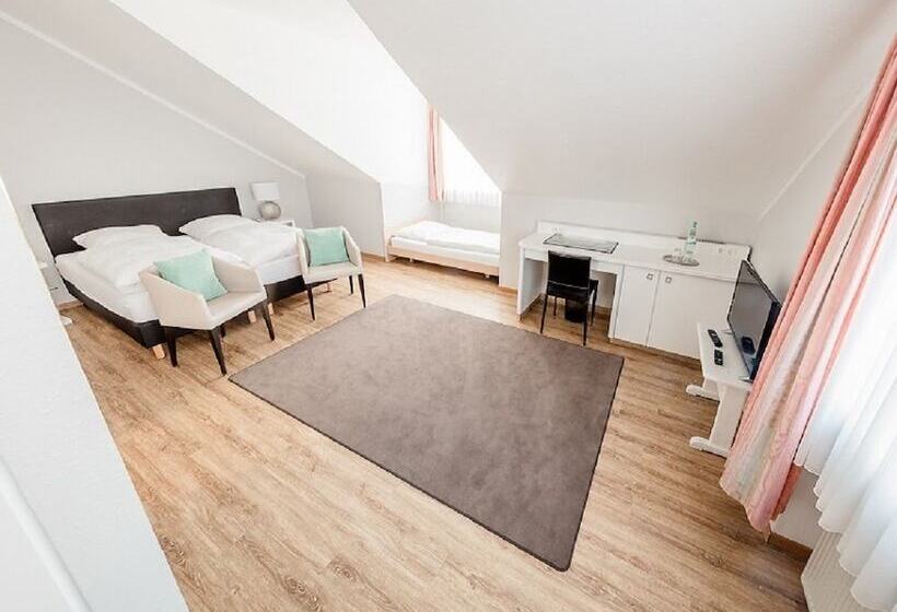 בית מלון כפרי Meyer