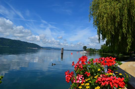 مبيت وإفطار Pension Regenscheit