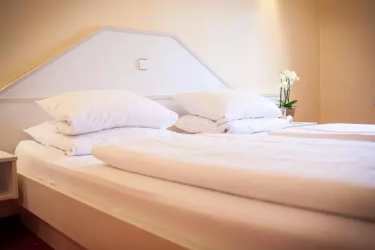 בית מלון כפרי Ramsteiner Hof