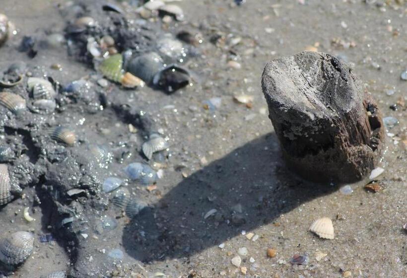 فندق Schwarzer Adler Jever