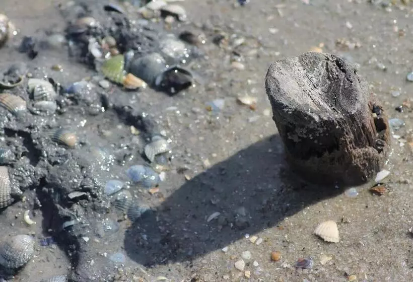 فندق Schwarzer Adler Jever