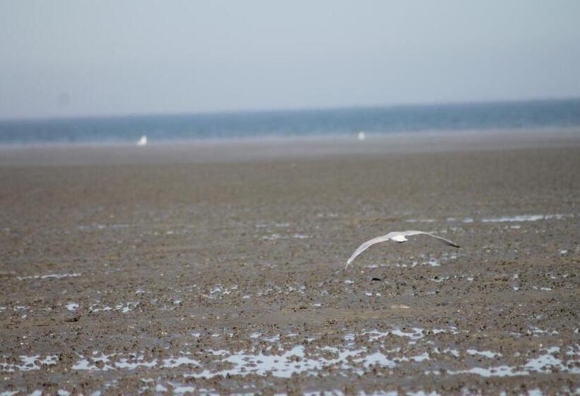 فندق Schwarzer Adler Jever