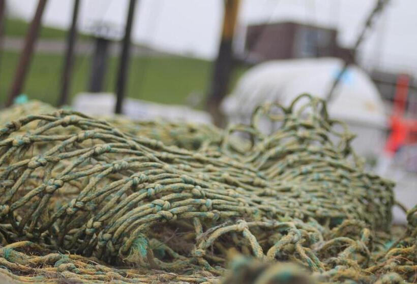 فندق Schwarzer Adler Jever