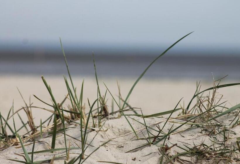 فندق Schwarzer Adler Jever