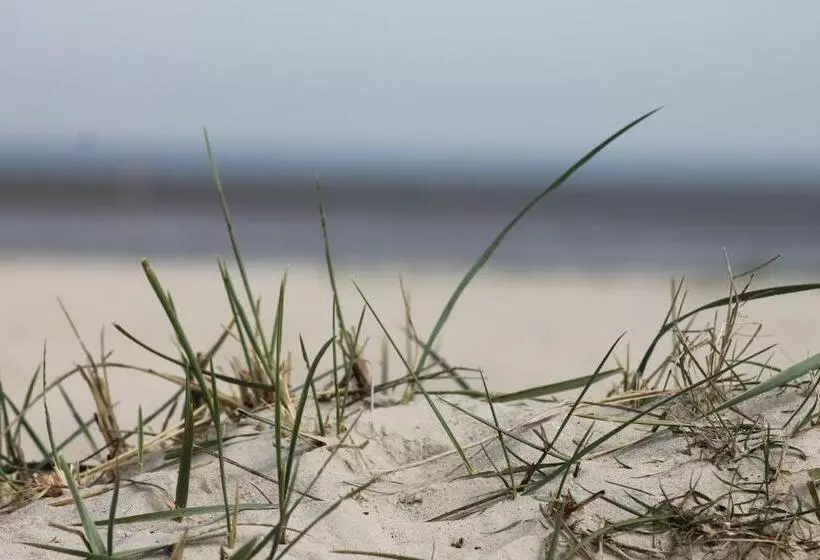 فندق Schwarzer Adler Jever