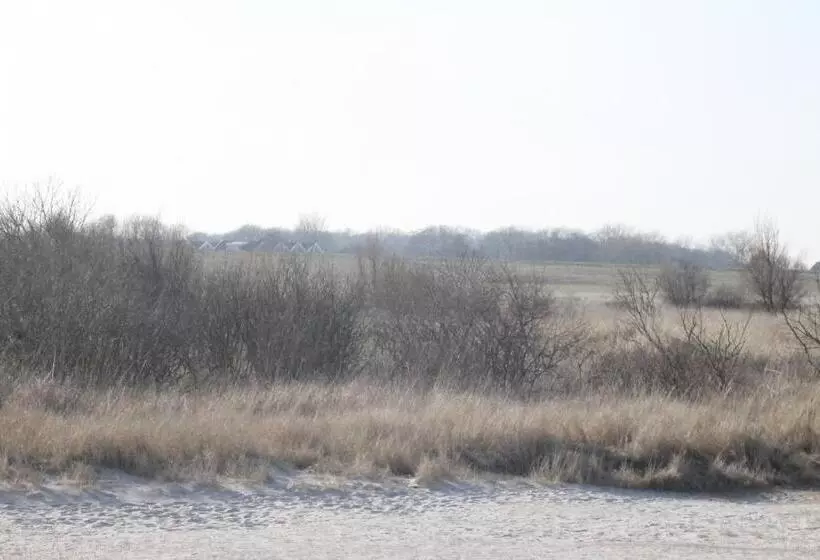 فندق Schwarzer Adler Jever