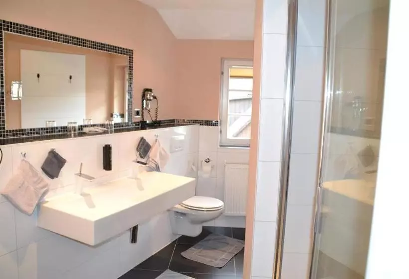 Отель Sonne Offenburg