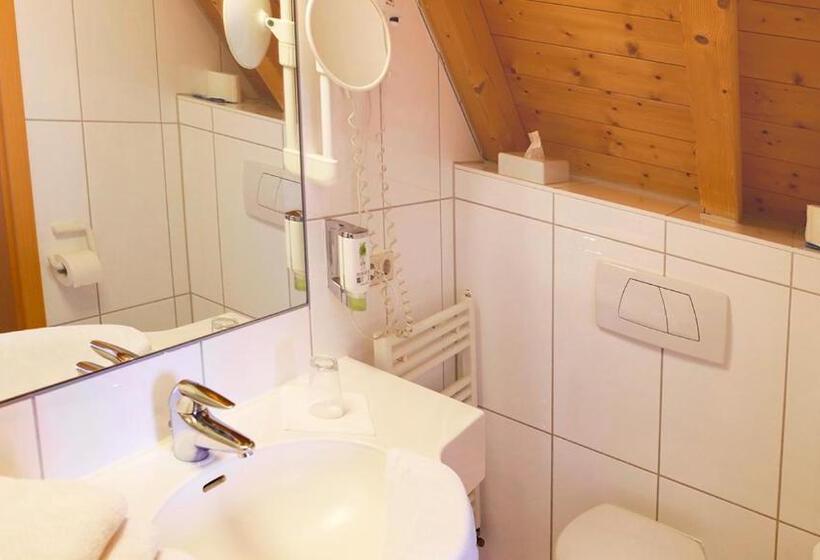 بنسيون Gasthof Adler