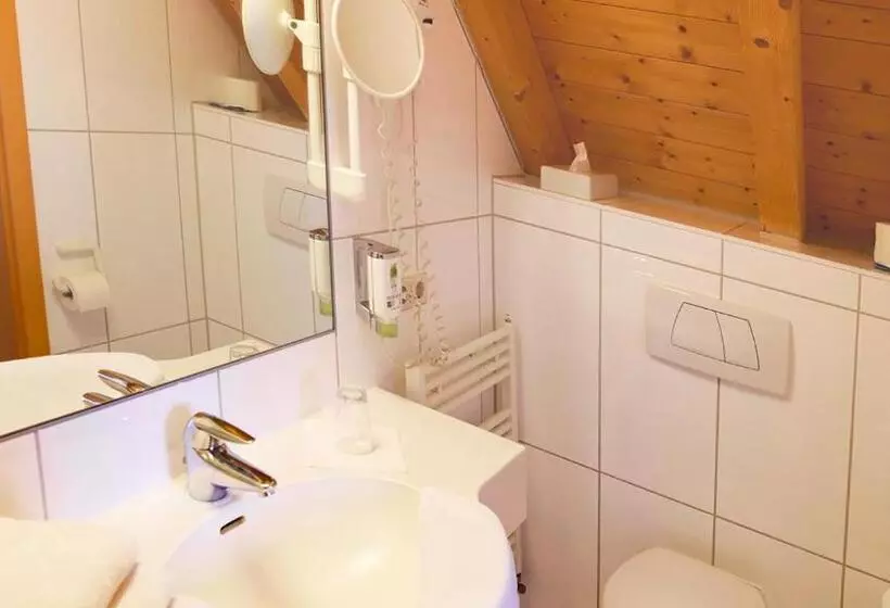 بنسيون Gasthof Adler