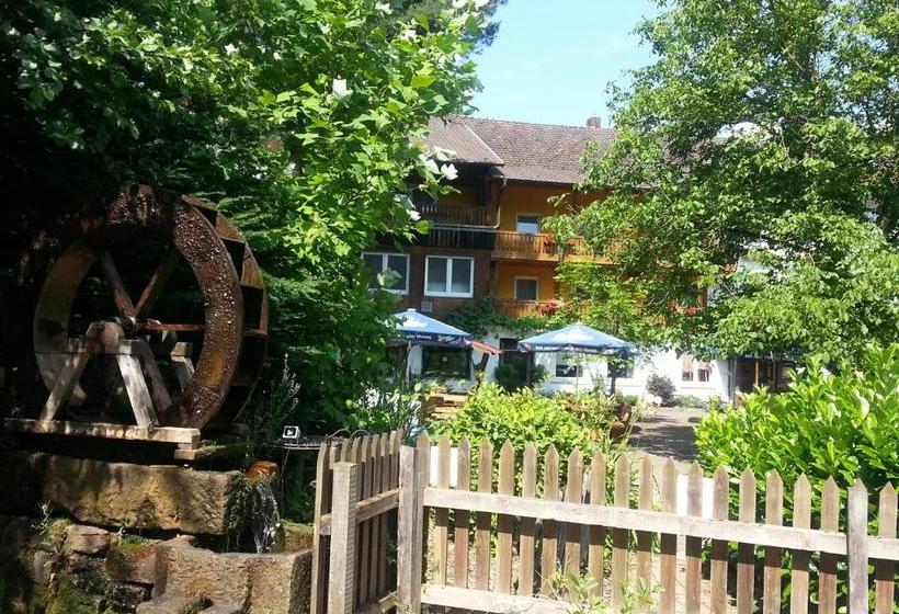 Pensão Landgasthof Linkenmühle