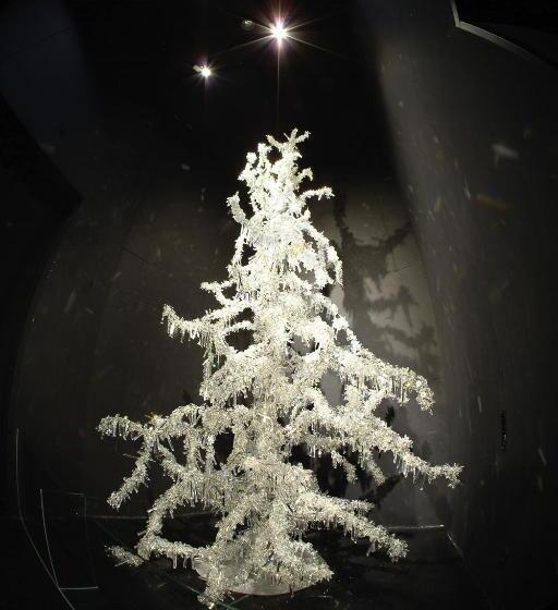 Отель Alpenland