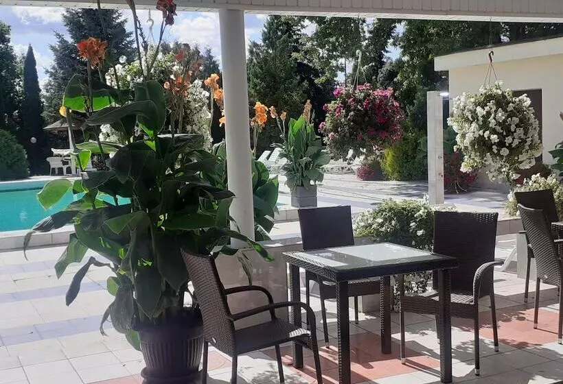 هتل Ambasador Chojny