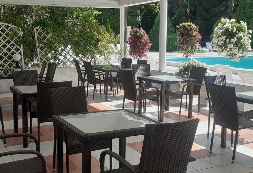 هتل Ambasador Chojny