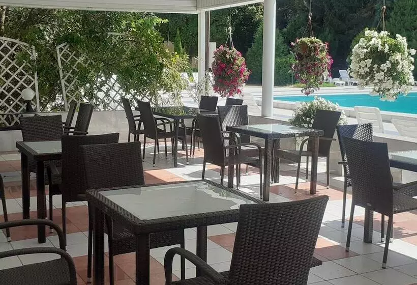 هتل Ambasador Chojny